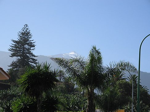 Foto Teide - Puerto de la Cruz