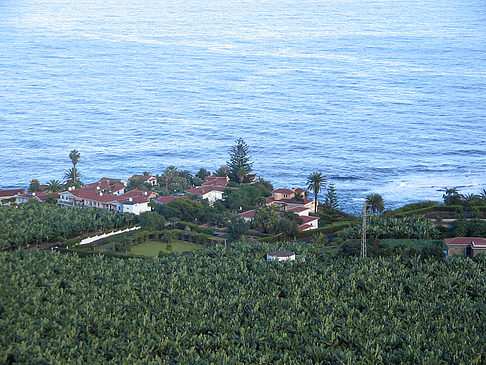 Fotos Inselrundfahrt | Teneriffa