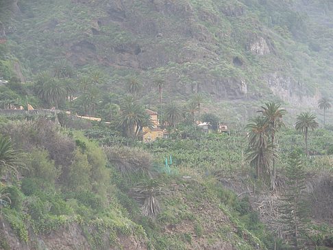Foto Berg - Puerto de la Cruz