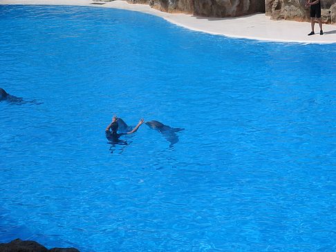 Fotos Loro Parque