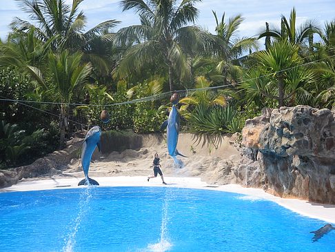 Loro Parque