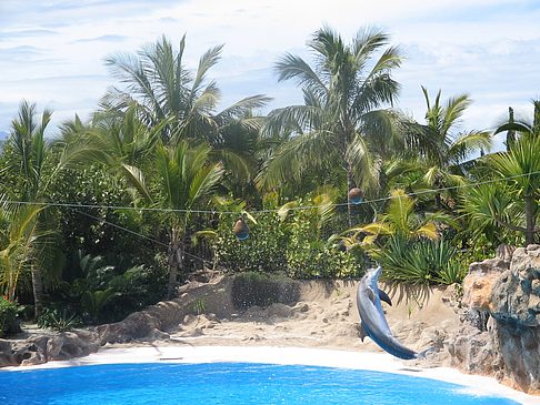 Loro Parque Fotos